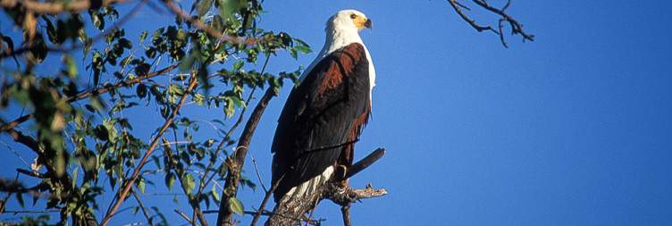 Matobo National Park