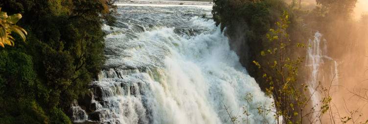 Morning Game Drive & Transfer to Victoria Falls with Dinner Cruise