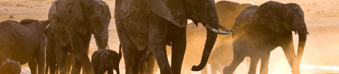 7-Day Exploring the Best of Zimbabwe