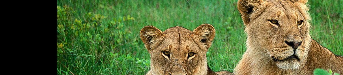10-Day Classic Zimbabwe Safari