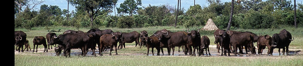 6-Day Deluxe Vic Falls and Zimbabwe Safari