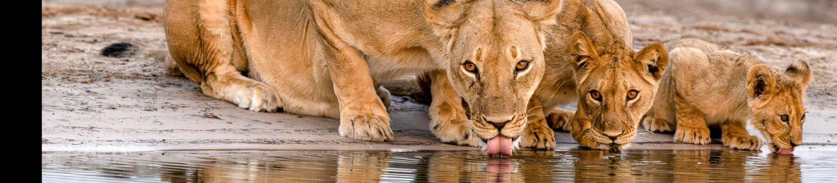 9-Day Hwange Safari & Victoria Falls Luxury Escape