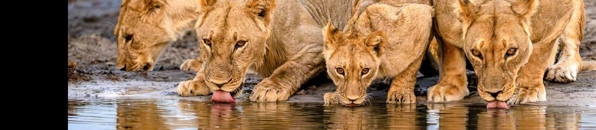 3-Day Victoria Falls Escape from Addis Ababa