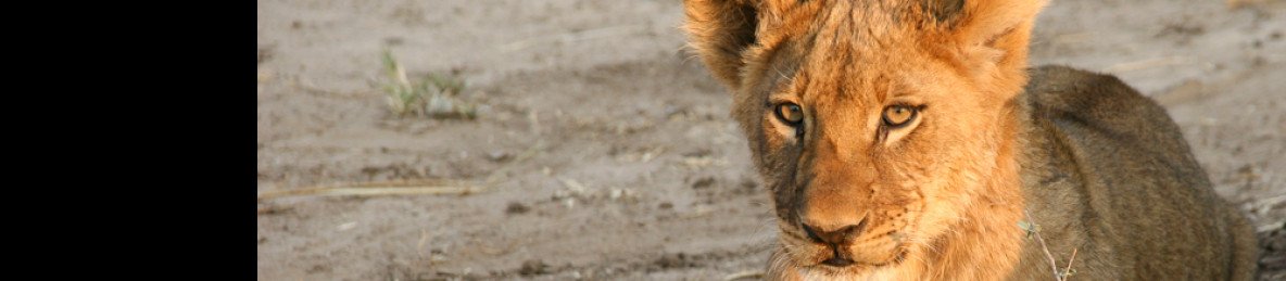 3-Day Hwange National Park Safari Trip Package