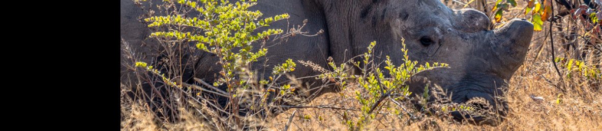 7-Day Victoria Falls, Chobe NP, Hwange NP & Matobo NP