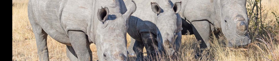 9-Day Victoria Falls, Hwange & Matopos