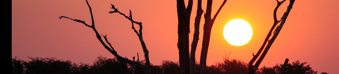 9-Day Highlights of Zimbabwe Safari Tour