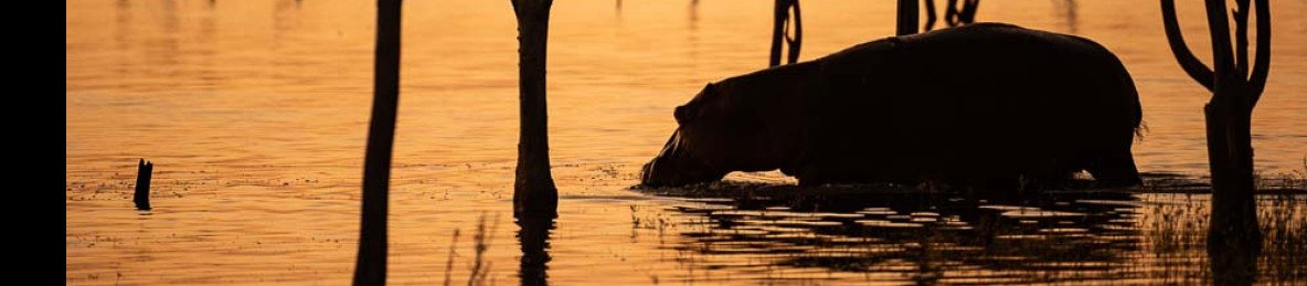 3-Day Victoria Falls Vacation