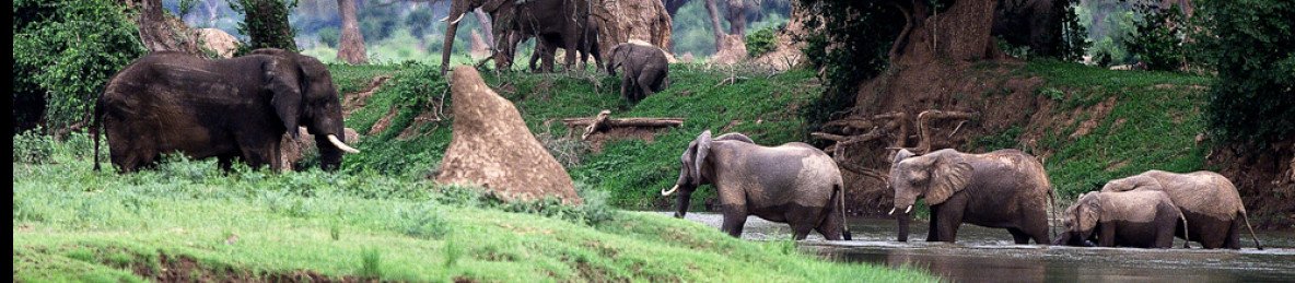 4-Day Victoria Falls & Hwange Wildlife Safari
