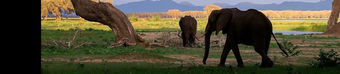 9-Day Zimbabwe Tour