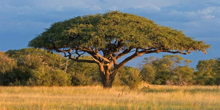 11-Day Harare to Victoria Falls Safari Tour in Zimbabwe