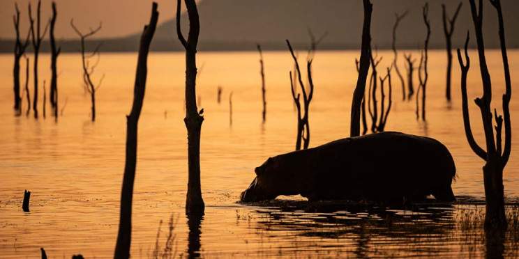 3-Day Victoria Falls Vacation