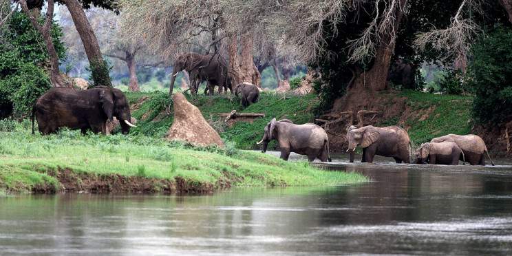 4-Day Victoria Falls & Hwange Wildlife Safari