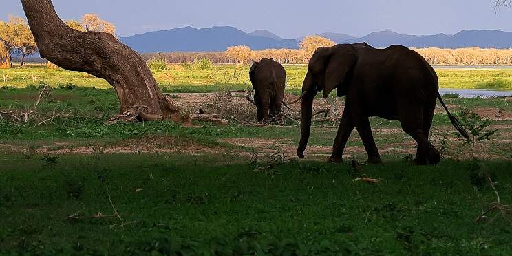 9-Day Zimbabwe Tour