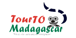 Tour To Madagascar logo