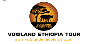 Vowland Ethiopia Tour and Travel logo