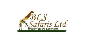BLS Safaris logo