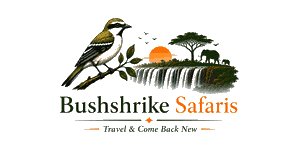 Bushshrike Safaris logo