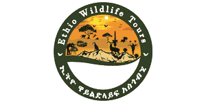 Ethio Wildlife Tours logo