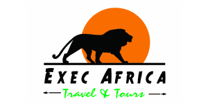 Exec Africa Travel and Tours logo