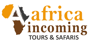 Africa Incoming logo