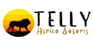 Telly Africa Safaris logo