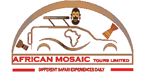African Mosaic Tours logo