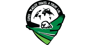 Super Eagles Travel and Tours logo