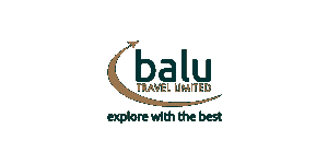Balu Travel logo