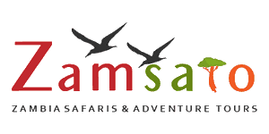Zamsato logo