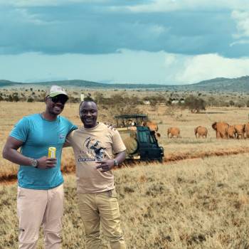 Gamedrive Travel Africa Safari Agency