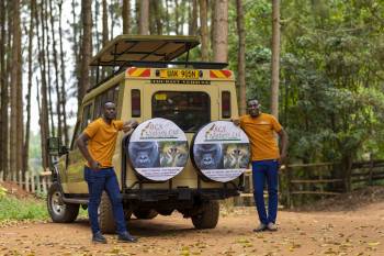 BLS Safaris