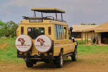 Rioba Safaris