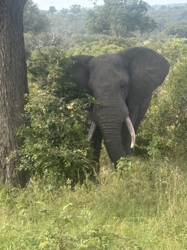 Photo by Vaishnavi Jain
