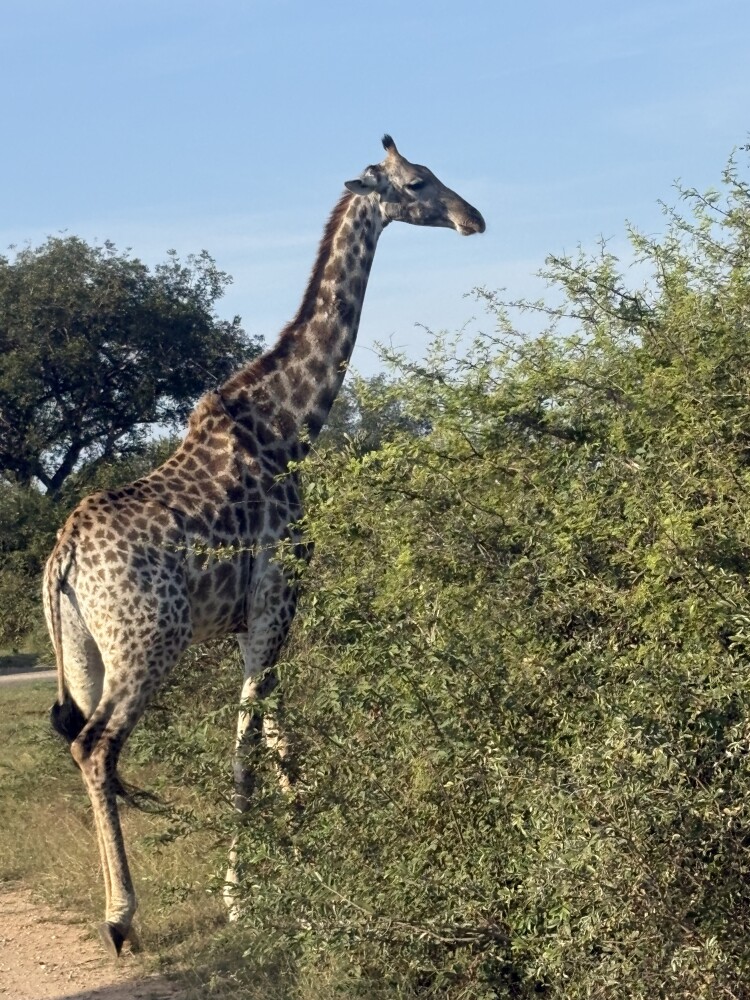 Photo by Vaishnavi Jain
