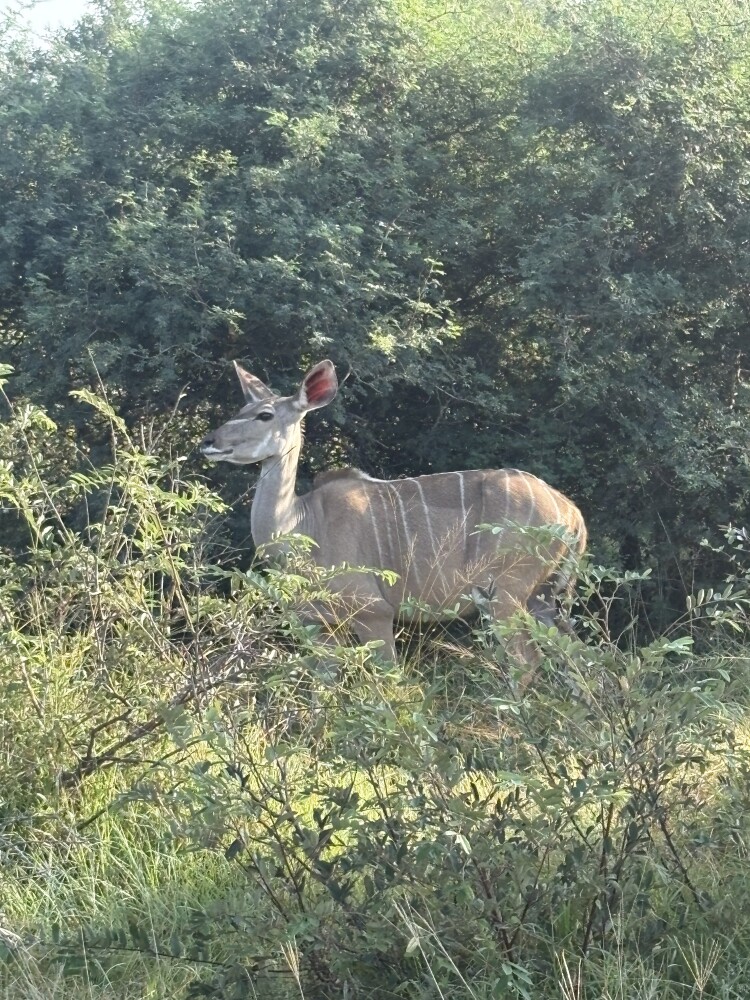 Photo by Vaishnavi Jain