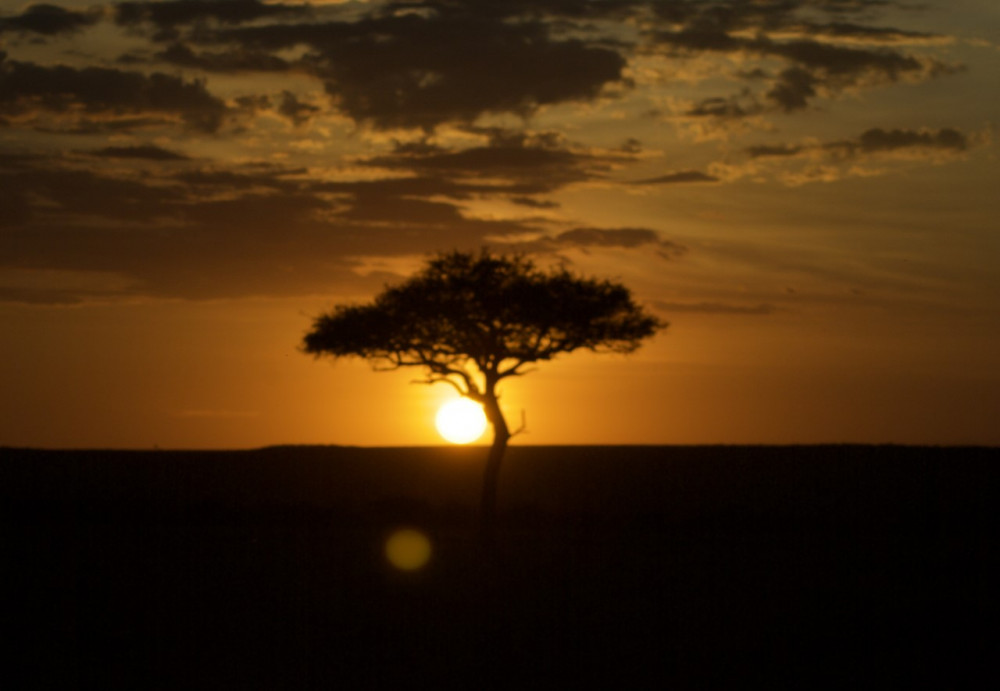Photo by Ignacio