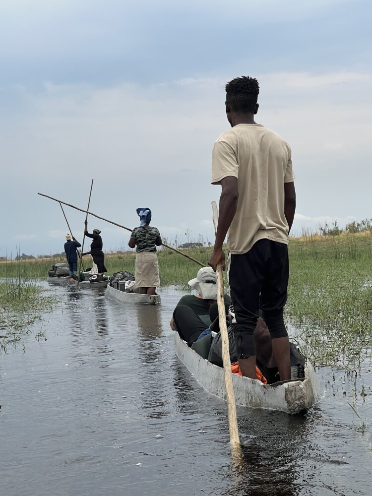 On the Okavango delta