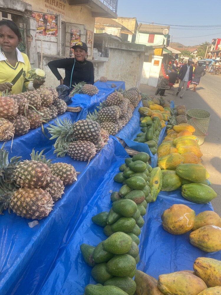 Madagascar Fruit
