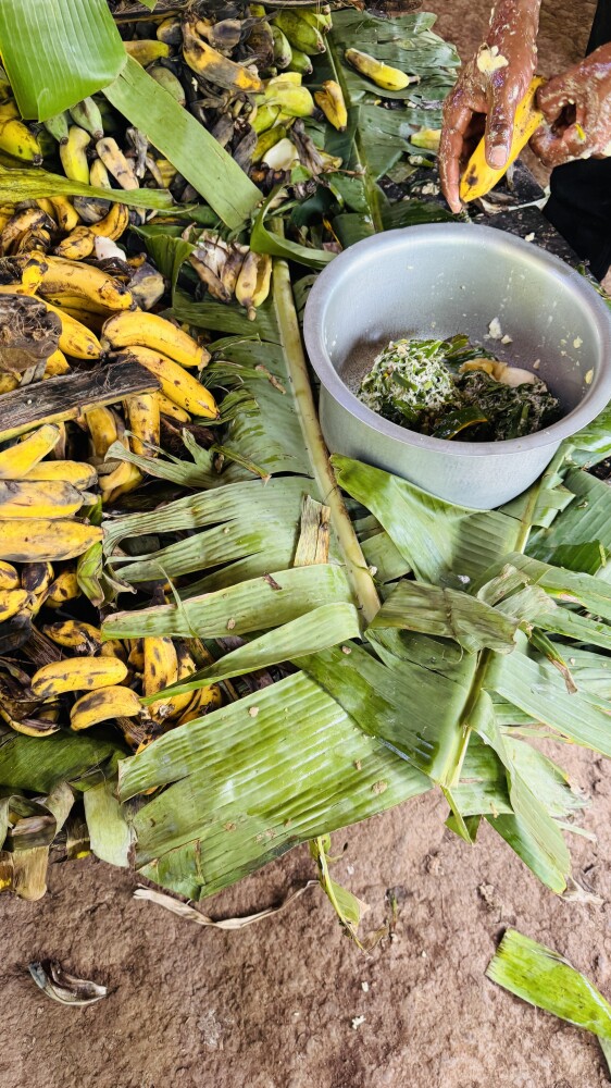 Banana gin and beer making process