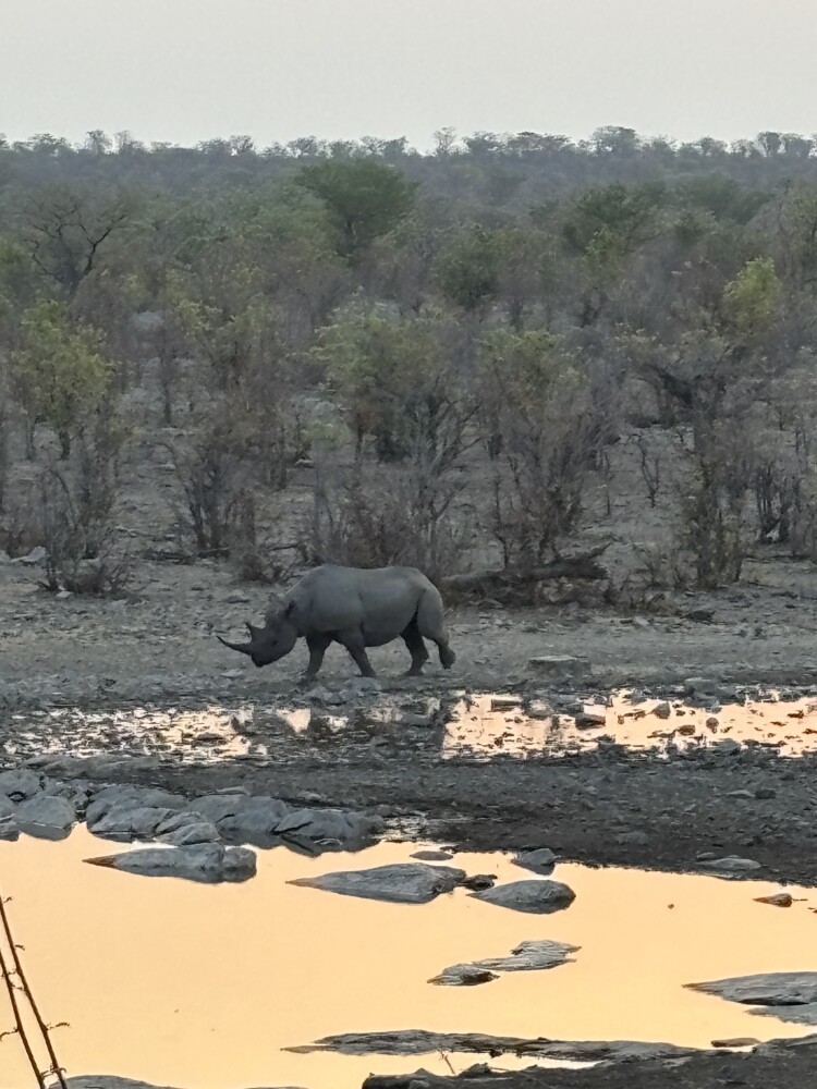 Etosha