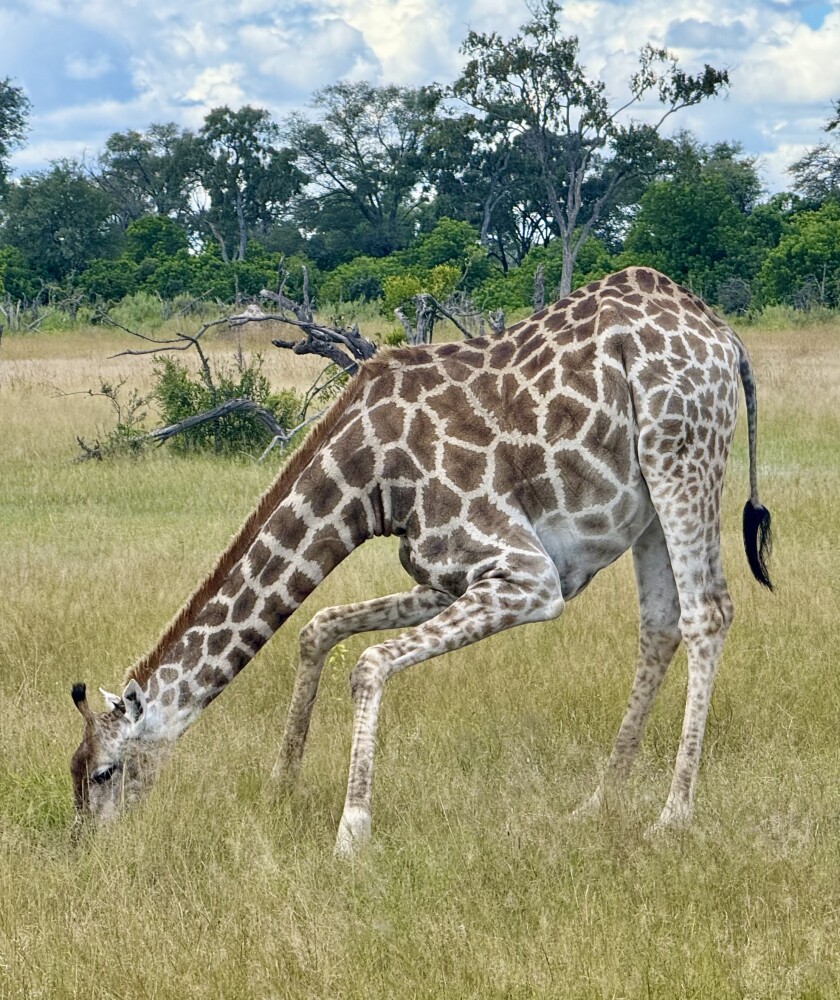 En route to Okavango delta
