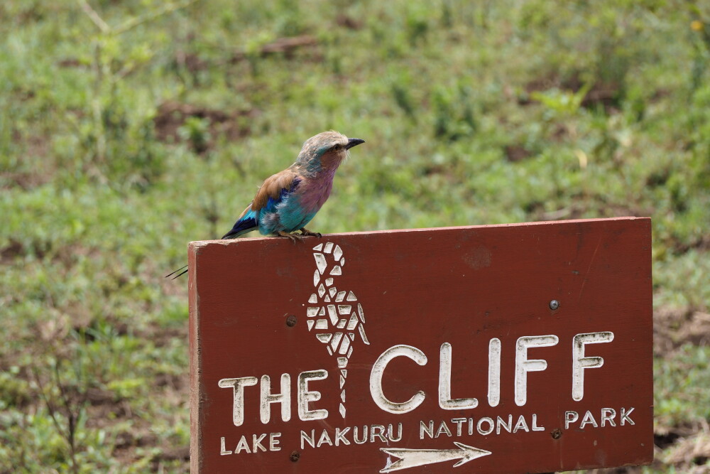 Nakuru National Park
