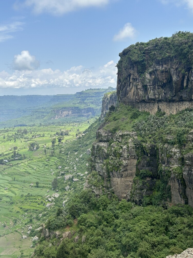 Rift valley