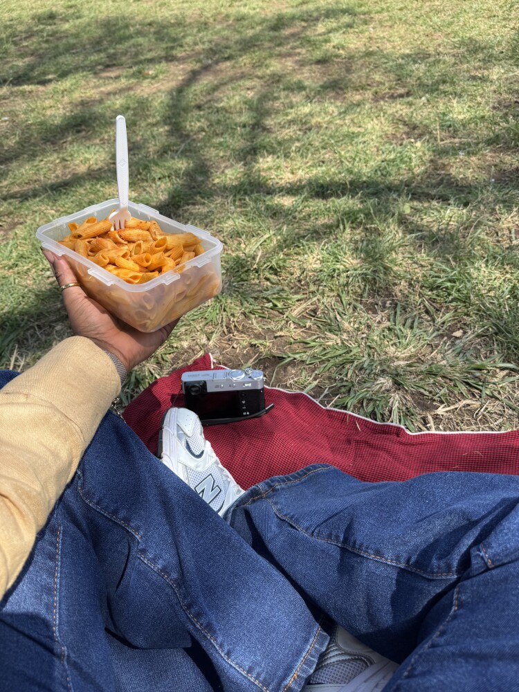 Picnic in the wild